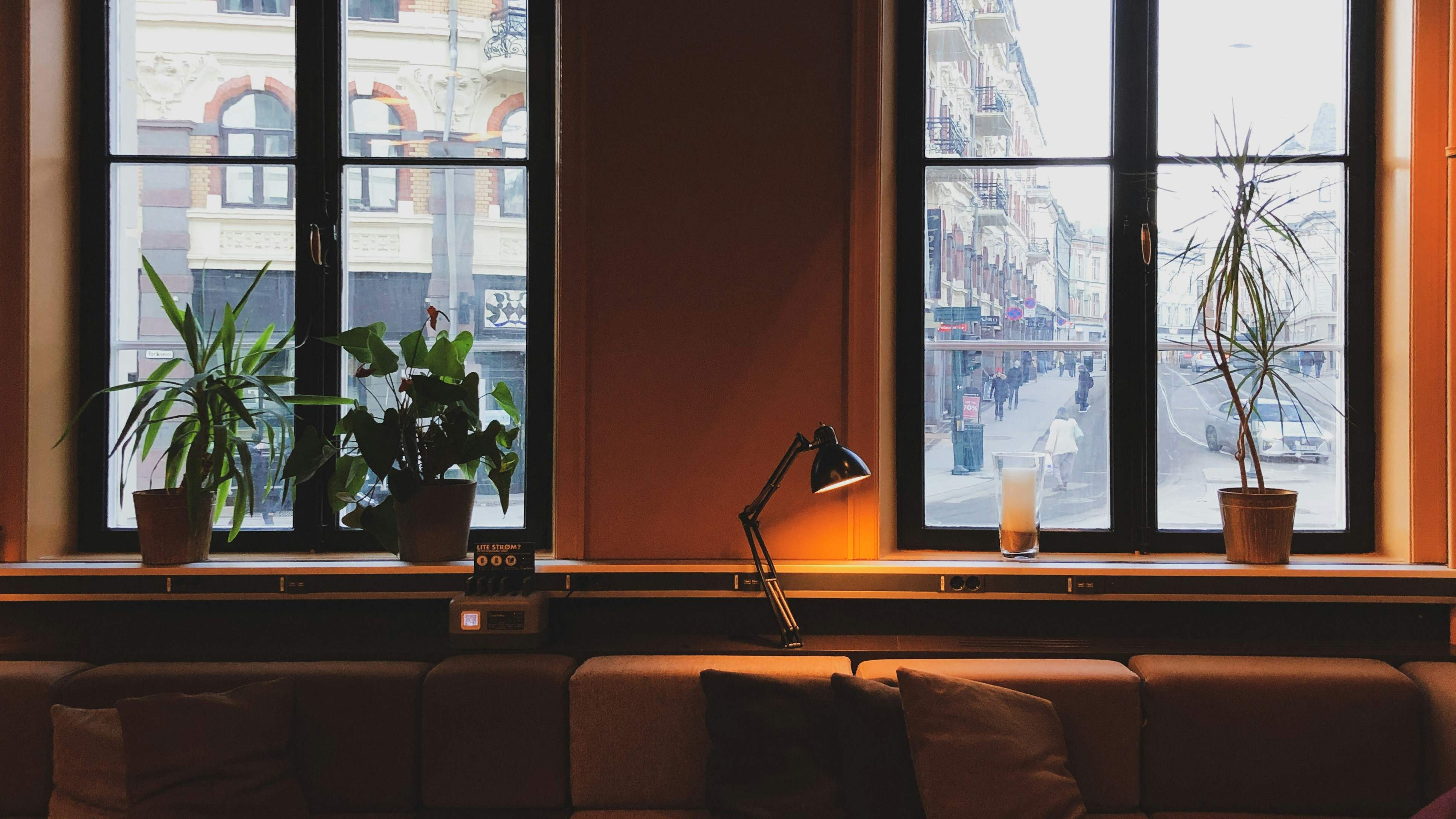 Launch day — a bright workspace by a window with the live site on screen